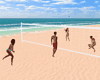 Beach volleyball