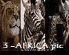 [lNtl] 3-ART Africa pic