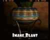 *Imane Plant