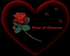 Rose of Shaz