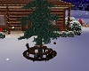 (S)Christmas tree bar