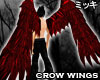 ! Huge Crimson Crow Wing