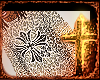 ANIMAL CROSSES