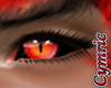 Cym Red Dragon Eyes