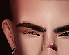 Diablo brows