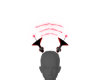 Satcomm V5