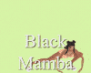 MA BlackMamba