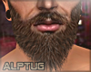 A' Vale Brown Beard
