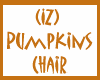(IZ) Pumpkins Chair