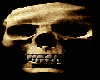 skull animated