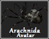 Arachnida Avatar
