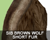 SIB Brown wolf short fur