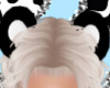 Bear ears