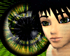 !Ex Hazel Eyed Shine M!