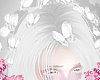 d. butterfly crown w