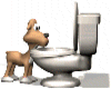 Dog , toilet sticker