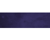 Purple Wall Lights {F}
