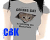 Ceiling Cat t-shirt