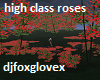 high class rose garden