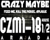 Crazy Maybe-House (1)