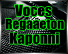 *KP*Voces Reggaeton V[1]