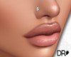 DR- Nose diamond