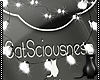 [CS] Cat Mirror