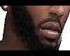 Small Beard
