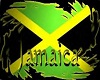 jamaican jacket