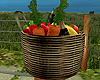 Produce Basket