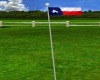 *TA* Texas State Flag