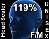 F/M Head Scaler 119%
