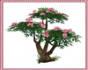 Tree flowers pink