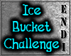 Ice Bucket Part.1