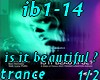 ib1-14 is it beautiful1