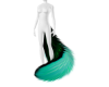Teal Tail