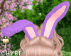 C~Bunny Purple Fur Ears