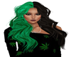 Green & D Brown hair