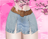 Skirt + Belt
