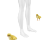 Baby Chicks Pet