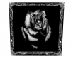 ll Dying Rose Pic.