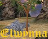 E - Tree of Eden