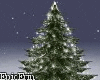 [E]Dark Snowy Pine Tree