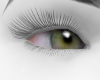 Green Eyes V4