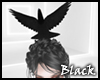 BLACK Pigeon Head