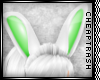 + Mint Bunny Ears