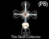 (PB)The Skull Collector