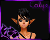 *C* BM Grunge Purple
