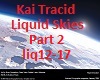 Kai Tracid Liquid Skies2