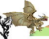 Right Gold ShoulderDrake